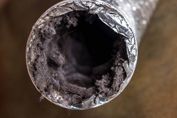 Best Emergency Air Duct Cleaning  in Collierville, TN