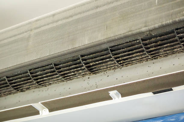 Best Commercial HVAC Duct Cleaning  in Collierville, TN
