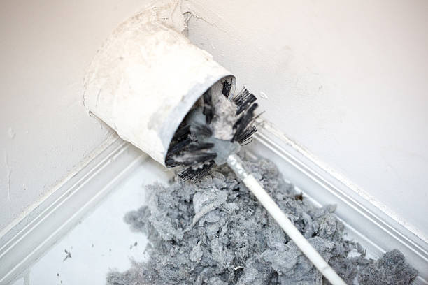 Best Air Duct Cleaning Company Near Me  in Collierville, TN